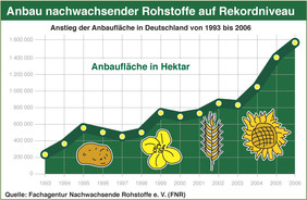 In Deutschland wachsen 2006 auf mehr als 1,5 Millionen Hektar oder 13 Prozent der gesamten Ackerfläche Industrie- und Energiepflanzen